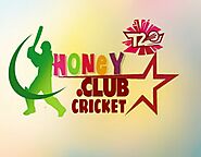 Experience the Excitement of Online Cricket Betting and Earn Handsome Amounts