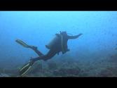 Diving in Gorgona Island