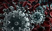వివిధ దేశాల్లో కరోనా కేసులు, మరణాల సంఖ్య ఇదే.. | World wide coronavirus updates Covid-19 deaths and positive cases
