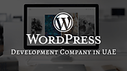 WordPress Development Company in UAE
