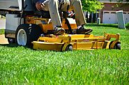 Garden and Lawn Care Resolution Tips for the New Year (2022)