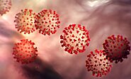Coronavirus: భారత్‌లో కొత్తగా 8,171 కరోనా పాజిటివ్‌ కేసులు | 8171 New Coronavirus cases reported in India