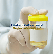 Website at https://www.zaizhanghospital.com/kidney-disease-causes/145.html