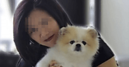 పెంపుడు కుక్కకు కరోనా..14 రోజుల పాటు.. | pet dog infected with covid-19 in hong kong