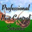 8 Things to Consider For Hiring Pest Control Company