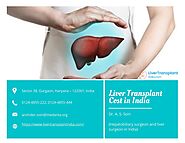 Best Cost of Liver Transplant in India That You Afford