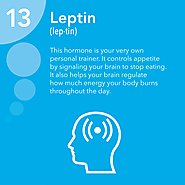 Leptin | Endocrine Society
