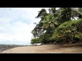 Corcovado Rainforest - Osa Peninsula - Costa Rica