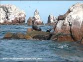 Ballestas Islands Paracas; Peru.wmv