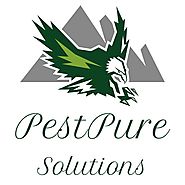 PestPure Solutions - One Stop Shop Pest Solution