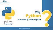 Why Python Is Suddenly So Popular?