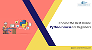 How to Choose the Best Online Python Course for Beginners? – Pro IT Training