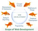 Professionals of Web Development Company
