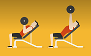 11 Best Workout Benches Review and Buying Guide » Chairikea