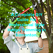 A Complete DIY Guide For Professional Style Hedge Trimming In Edmonton.