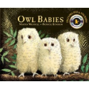 Owl Babies: Candlewick Storybook Animations: Martin Waddell, Patrick Benson: 9780763650421: Amazon.com: Books