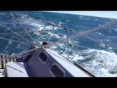 single-handed sailing in front of the Strait of Magellan, wind Force 7-8, reefed genoa and main sail
