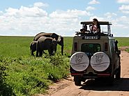 Tanzania Day Trip Safari - Plan an Exciting Adventure