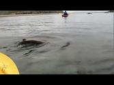 Kayaking at West Point Island, Falkland Islands
