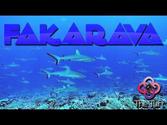 Fakarava / Passe Sud / Mur de requin / Wall of shark
