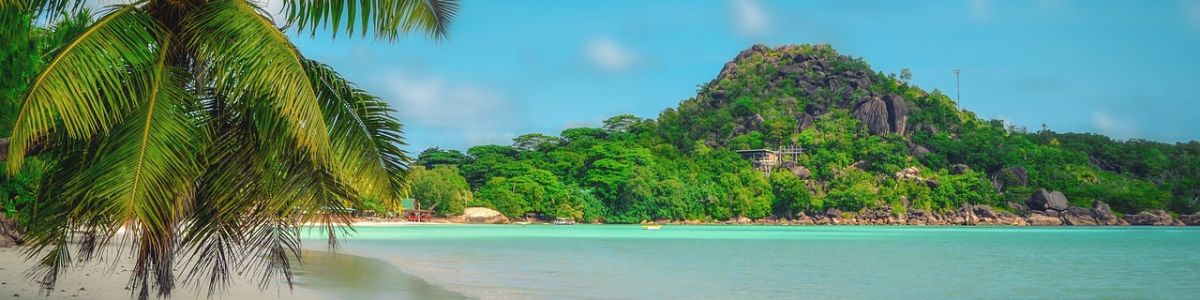 Headline for 10 Most Unique Things to Experience in Seychelles- The essence of Seychelles!