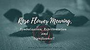 Rose Flower Meaning, Symbolization, Representation, and Significance!! - Flowerdeliveryuae Official Blog