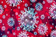 Protect Yourself From Coronavirus By Boosting Your Immunity