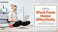 Tips to Work from Home Effectively amidst COVID-19 | Sentrient