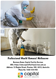 Reasons to hire a mould inspection specialist for your building