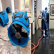 List Out The Water Damage Restoration Processing Steps