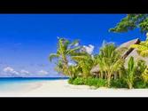 Fiji Islands Travel Guide - Must-See Attractions