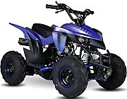 Types of 4 Wheelers and Their Unique Uses - Arlington Power Sports