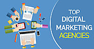 Digital Marketing Company in India - SEO India Higherup