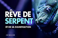 Rêve de serpent et de sa signification – 10 interprétations que vous devriez connaître - Law of Attraction Blog