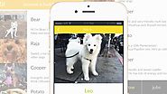 Love Dogs, But Don’t Want To Commit? Now You Can Borrow One–With An App
