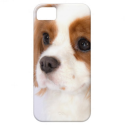 Sweet Cavalier King Charles Spaniel iphone 5g Case iPhone 5 Cover from Zazzle.com