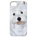 West Highland White Terrier Puppy iPhone 5 Case from Zazzle.com