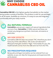Cannabliss Labs CBD Oil *Read* Reviews and Ingredients