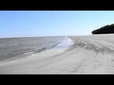 Ocean Waves - Driftwood Beach - Jekyll Island, GA