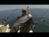 Lake Ontario Salmon Fishing May 2014