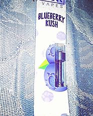 Buy Blueberry Kush Dankvape - Buy Dank Vapes Full Gram Cartridges