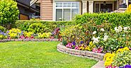 The Importance of Landscape Maintenance: Insights from the Pros