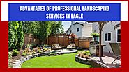 Expert Solutions for Vibrant Landscapes