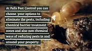 Efficient Termite Inspection Picton - Falls Pest Control