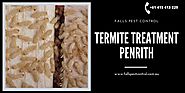 Infestations Termite Treatment Penrith - Falls Pest Control