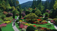 JC Raulston Arboretum