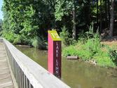 Lake Lynn Trail