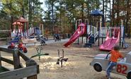 Shelley Lake Park