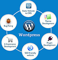 WordPress Development Company USA