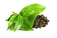 10 - Green Tea